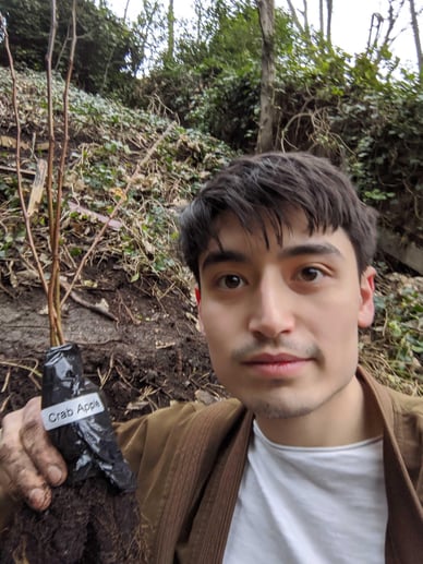 joe trees